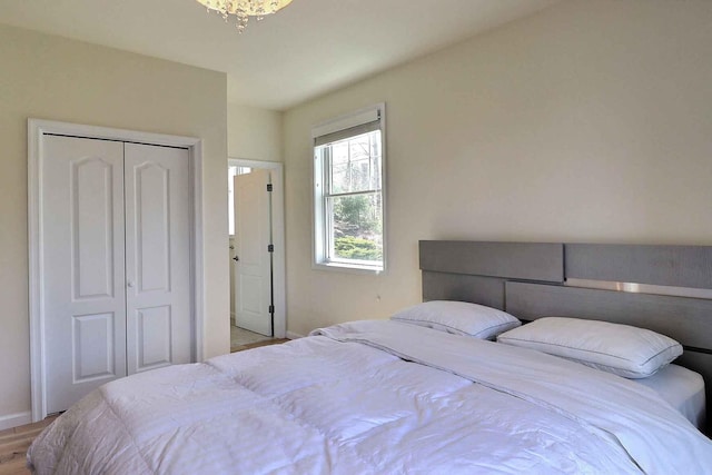 301 Reagan Dr, East Stroudsburg, PA 18301 - bedroom with baseboards, a closet, and light wood-style flooring