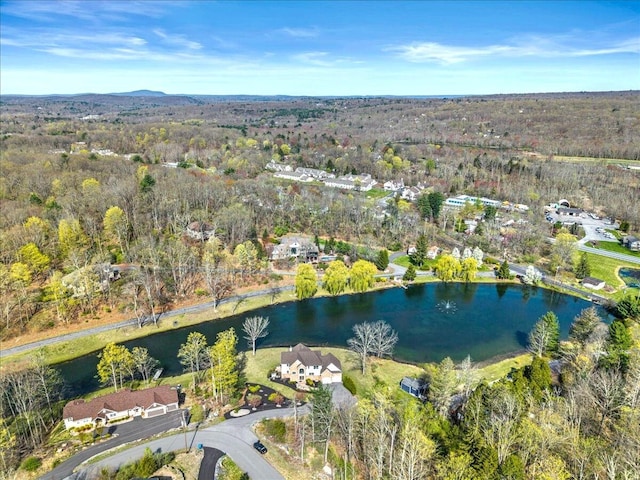 301 Reagan Dr, East Stroudsburg, PA 18301 - bird's eye view with a water view and a view of trees