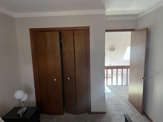 interior space featuring carpet floors and baseboards