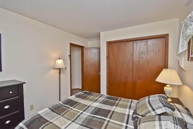 122 Mcmichaels Ct, Stroudsburg, PA 18360 - bedroom with a closet