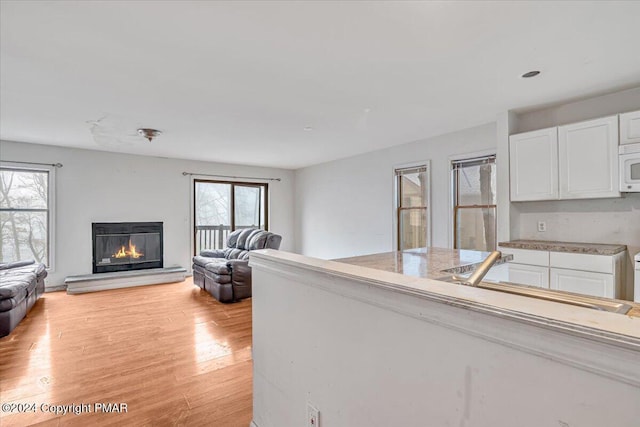 living room featuring light wood-type flooring and a glass covered fireplace