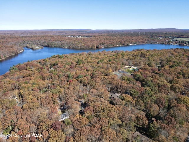 bird's eye view featuring a forest view and a water view