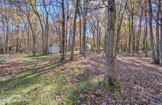 view of yard with an outbuilding and a storage shed