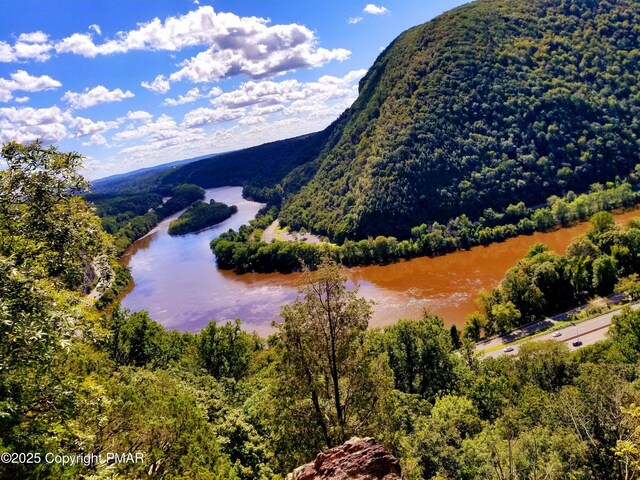 8237 Natures Dr, Tobyhanna, PA 18466 - mountain view with a forest view and a water view