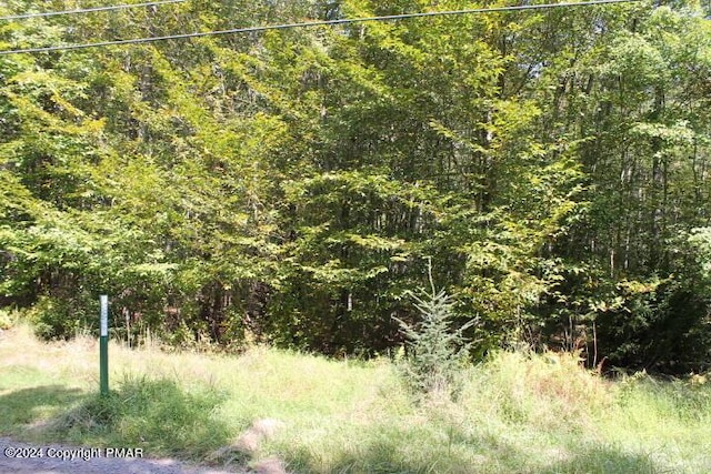 Listing photo 3 for LOT24 Sheshequin Dr, Pocono Lake PA 18347