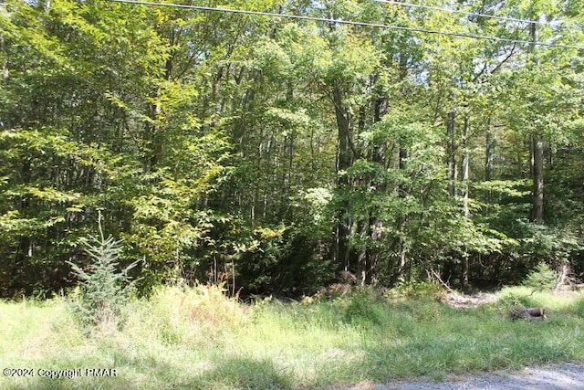 LOT24 Sheshequin Dr, Pocono Lake PA, 18347 land for sale