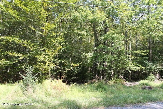 LOT24 Sheshequin Dr, Pocono Lake, PA 18347
