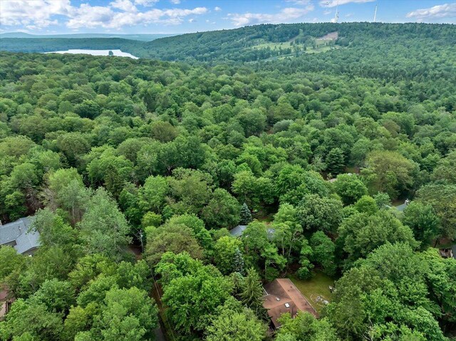 107 Estates Dr, Lake Harmony, PA 18624 - photo 43