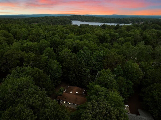 107 Estates Dr, Lake Harmony, PA 18624 - photo 47