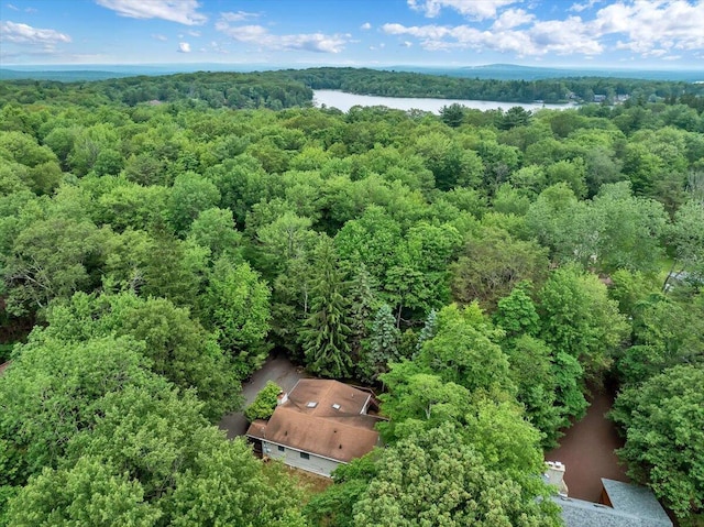 107 Estates Dr, Lake Harmony, PA 18624 - photo 40