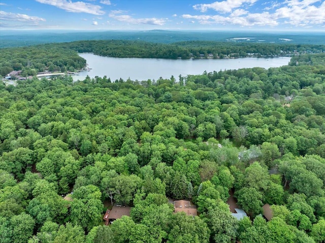 107 Estates Dr, Lake Harmony, PA 18624 - photo 44