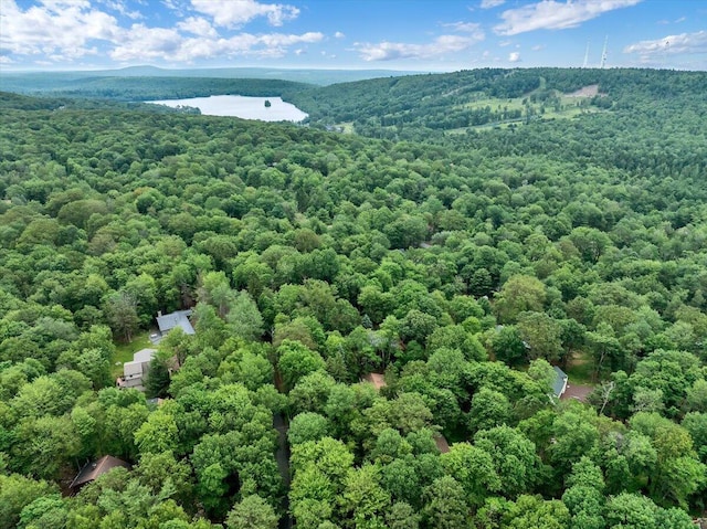 107 Estates Dr, Lake Harmony, PA 18624 - photo 38