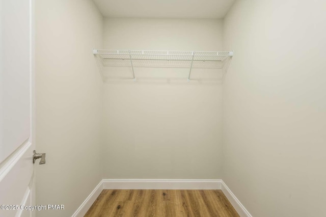 walk in closet with wood-type flooring