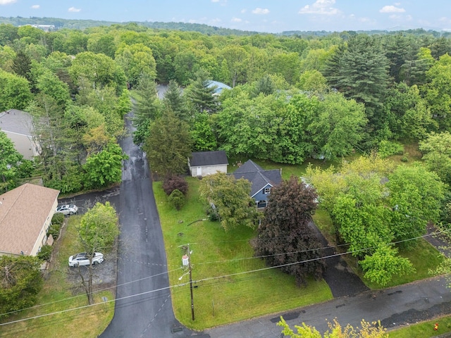 596 Chestnut St, East Stroudsburg, PA 18301 - aerial view of a heavily wooded area