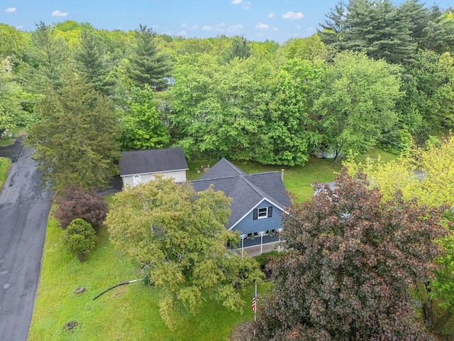 596 Chestnut St, East Stroudsburg, PA 18301 - view of subject property featuring a forest