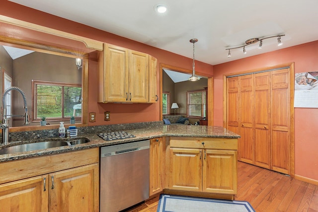 596 Chestnut St, East Stroudsburg, PA 18301 - kitchen with stainless steel dishwasher, a sink, light wood-style floors, a peninsula, and dark stone countertops