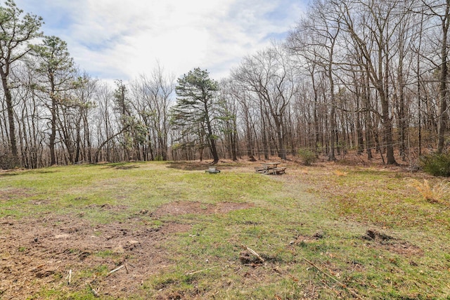 171 Knob Rd, Mount Pocono, PA 18344 - view of yard featuring a forest view