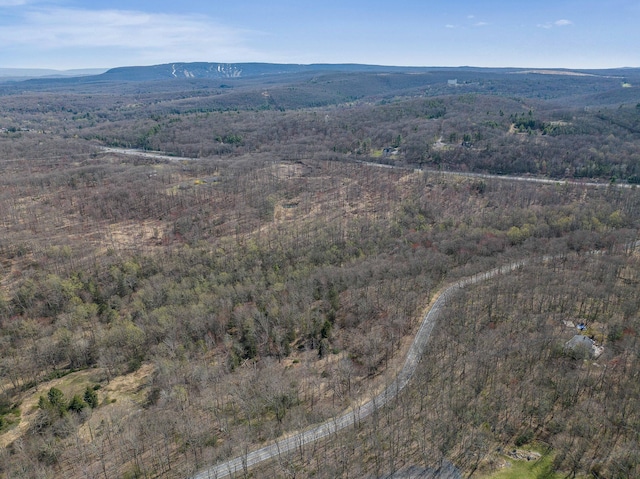 171 Knob Rd, Mount Pocono, PA 18344 - aerial view with a view of trees and a mountain view