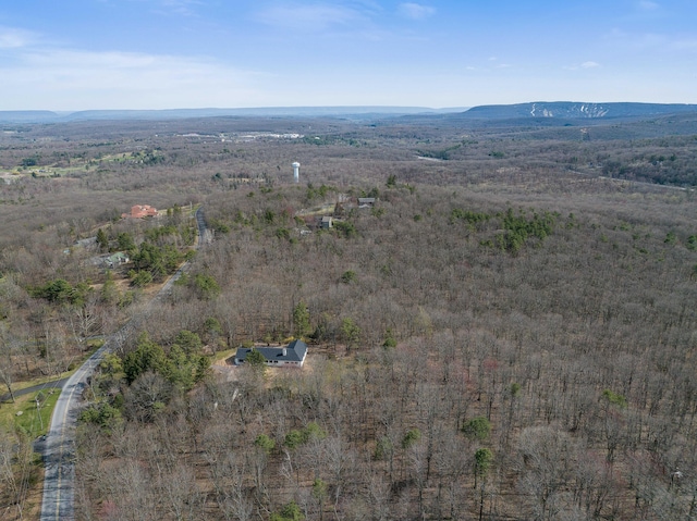 171 Knob Rd, Mount Pocono, PA 18344 - birds eye view of property with a mountain view and a forest view