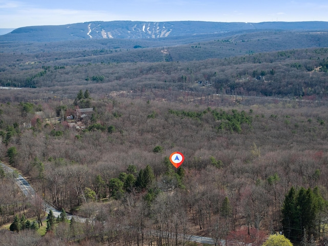 171 Knob Rd, Mount Pocono, PA 18344 - birds eye view of property featuring a mountain view