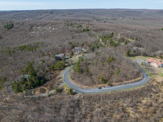171 Knob Rd, Mount Pocono, PA 18344 - drone / aerial view