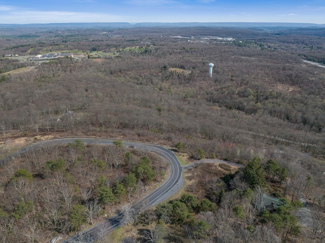 171 Knob Rd, Mount Pocono, PA 18344 - birds eye view of property featuring a view of trees