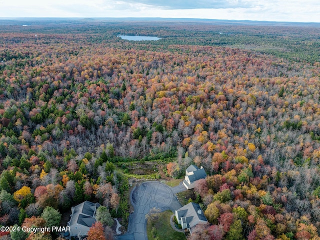 aerial view featuring a water view and a forest view