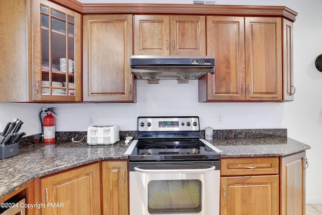 kitchen with stainless steel range with electric stovetop, brown cabinetry, glass insert cabinets, and under cabinet range hood