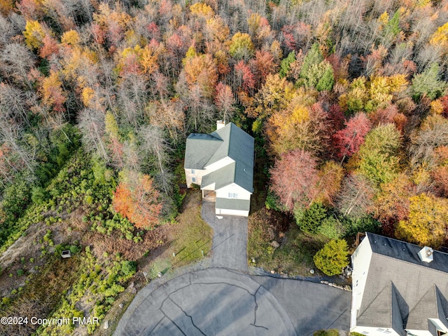 bird's eye view