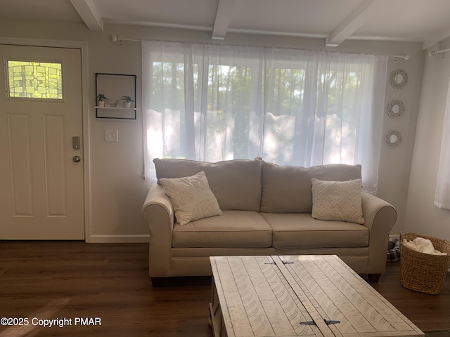 living room featuring beam ceiling and a wealth of natural light