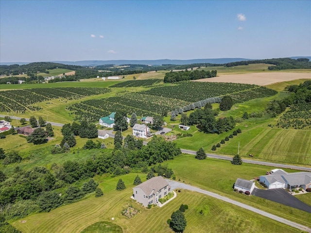 5948 Valley View Ct, Slatington, PA 18080 - photo 65