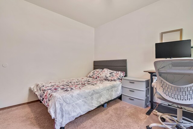 217 Coach Rd, Tobyhanna, PA 18466 - view of carpeted bedroom
