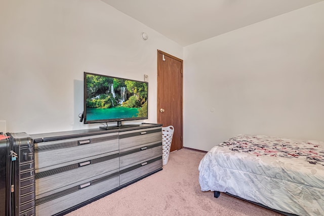 217 Coach Rd, Tobyhanna, PA 18466 - bedroom featuring carpet flooring
