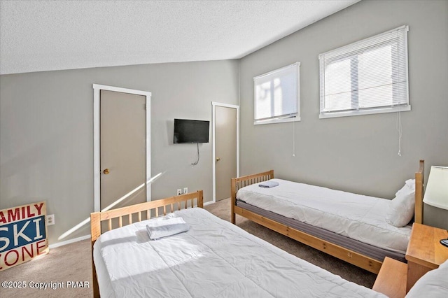 bedroom with carpet floors, baseboards, vaulted ceiling, and a textured ceiling