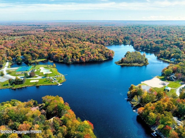 birds eye view of property featuring a water view and a wooded view