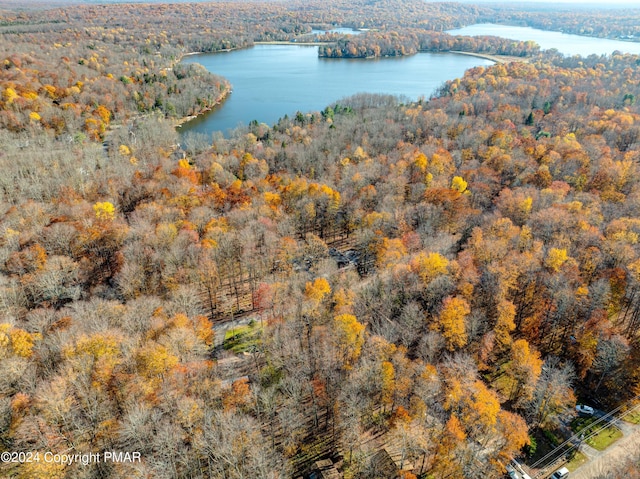 bird's eye view with a water view and a view of trees