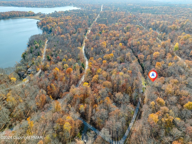 drone / aerial view featuring a water view and a view of trees