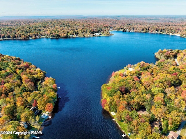 birds eye view of property with a water view and a forest view