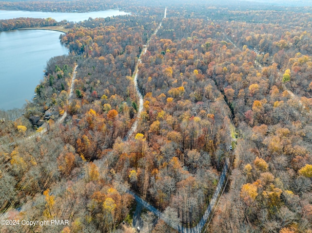 birds eye view of property featuring a forest view and a water view