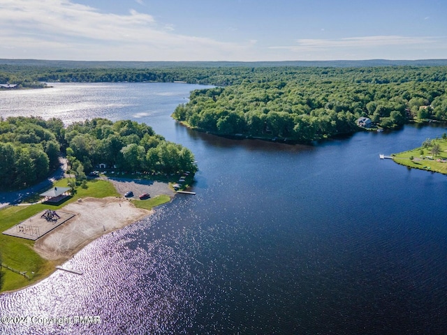 bird's eye view featuring a water view and a wooded view