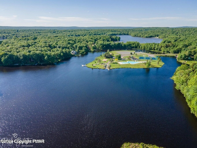 bird's eye view with a water view and a forest view