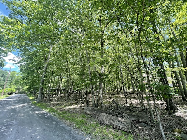 Gingerbread Ln, East Stroudsburg, PA 18302 - photo 2