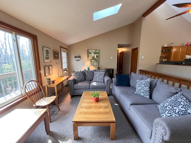 5 Cayuga Dr, Jim Thorpe, PA 18229 - living area with carpet, ceiling fan, and lofted ceiling with skylight