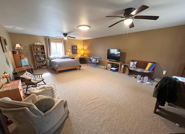 5 Cayuga Dr, Jim Thorpe, PA 18229 - bedroom featuring a baseboard radiator, baseboards, a textured ceiling, and carpet floors