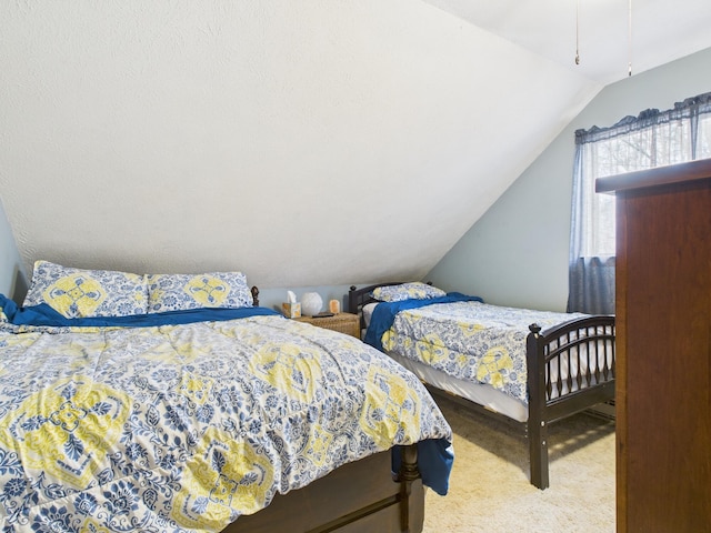 179 Choctaw Dr, Pocono Lake, PA 18347 - bedroom with carpet floors and lofted ceiling
