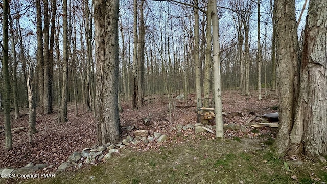 view of landscape featuring a wooded view