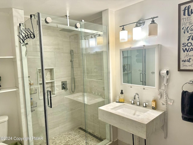 full bathroom featuring toilet, a shower stall, and a sink