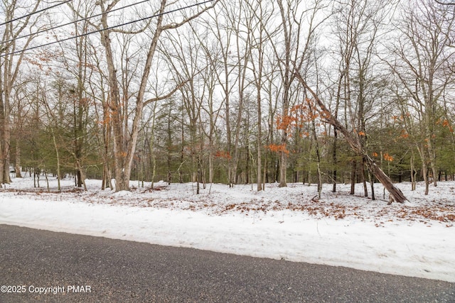 LOT24 Clubhouse Dr, East Stroudsburg, PA 18302