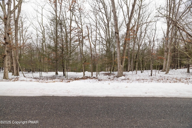 Listing photo 2 for LOT24 Clubhouse Dr, East Stroudsburg PA 18302