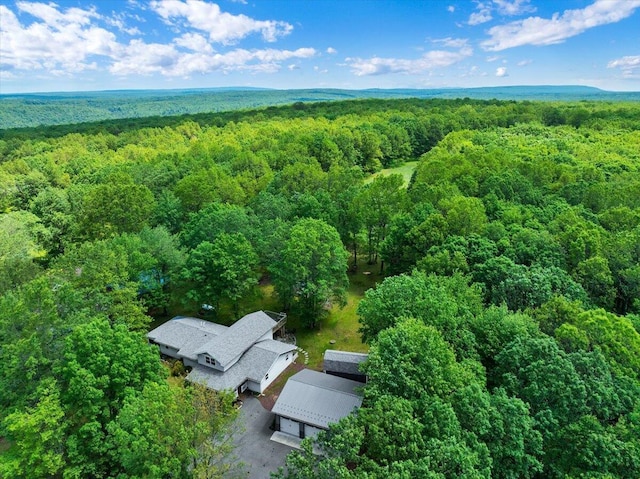 84 Deer View Dr, Jim Thorpe, PA 18229 - view of subject property featuring a heavily wooded area